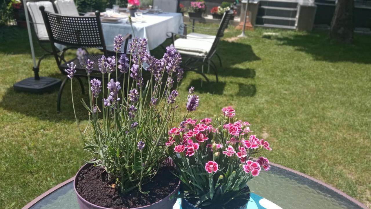 Art Inn Apartmanház Balaton-Gyenesdiás Kültér fotó